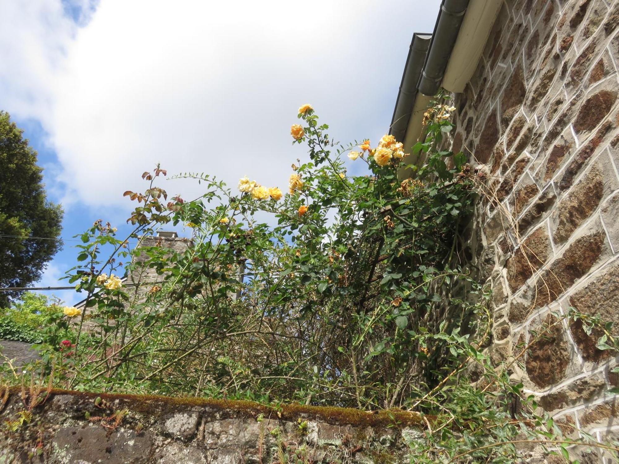 Pleudihen-sur-Rance Le Jardin A Mordreuc B&B 외부 사진