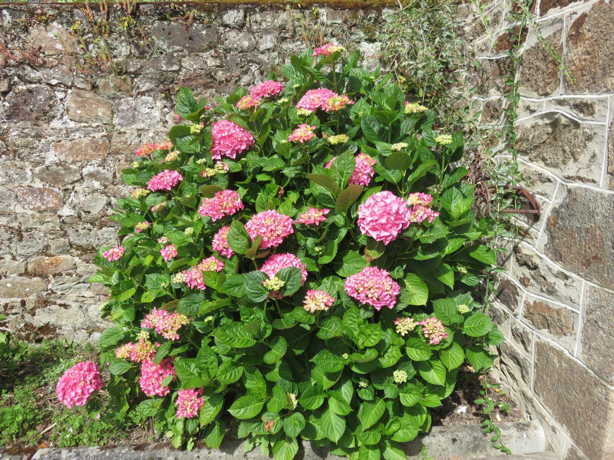 Pleudihen-sur-Rance Le Jardin A Mordreuc B&B 외부 사진